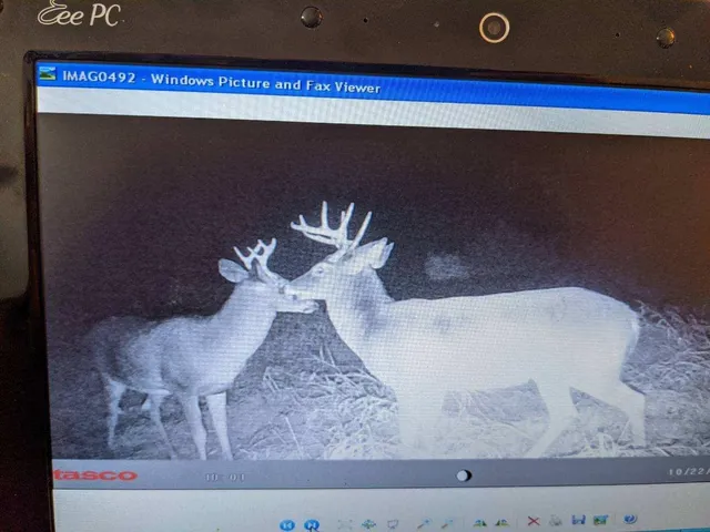 $550,000 | Tbd Tbd 5th Camp, Camp Douglas, WI 54618