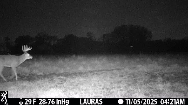 $550,000 | Tbd Tbd 5th Camp, Camp Douglas, WI 54618