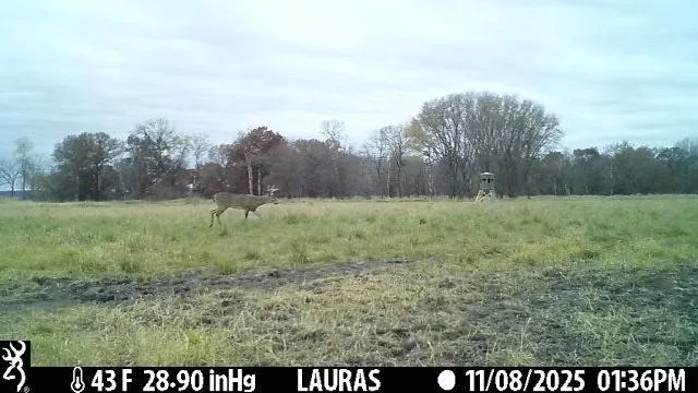 $550,000 | Tbd Tbd 5th Camp, Camp Douglas, WI 54618