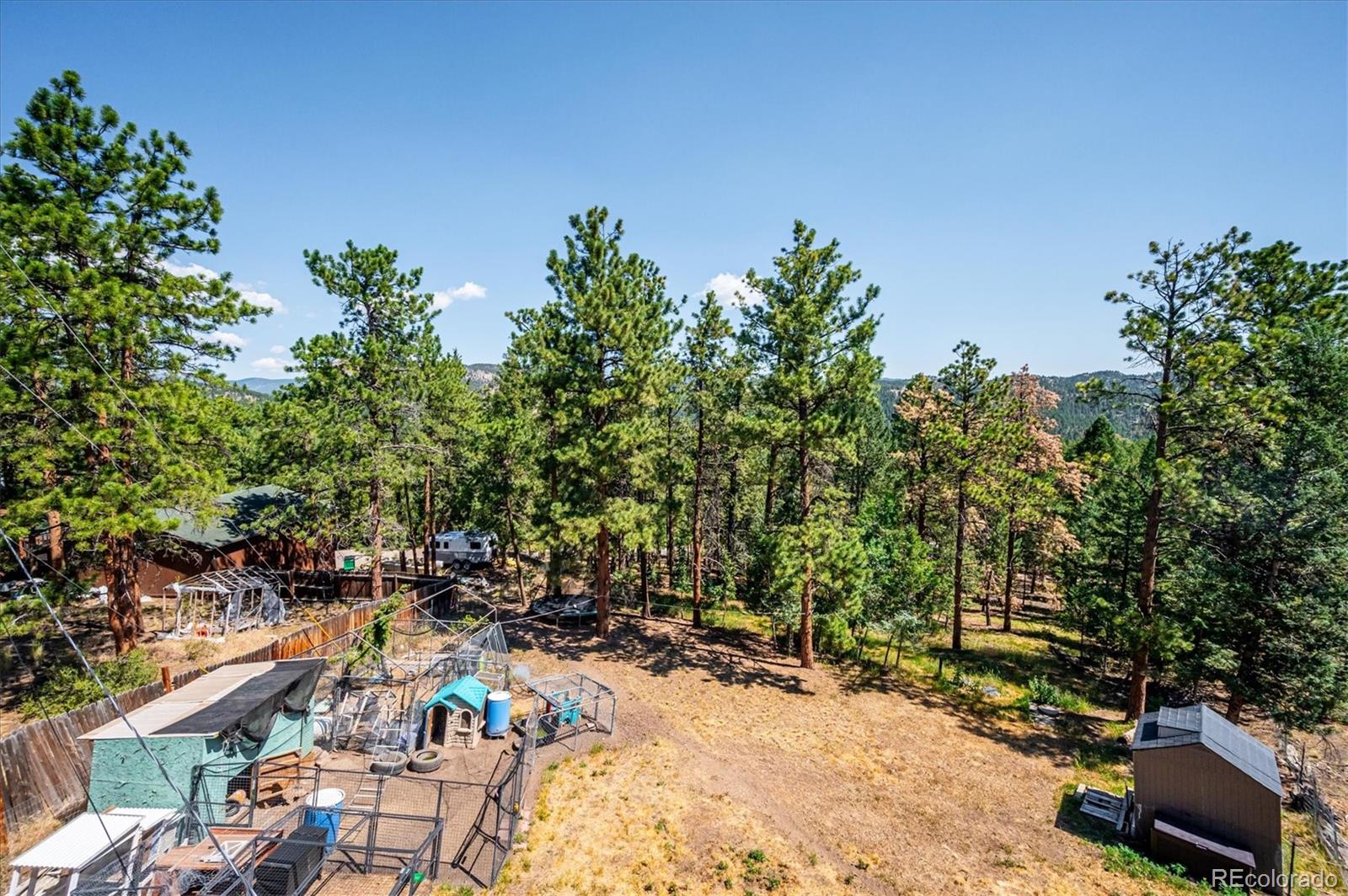 194 Long Ridge Drive Bailey, CO 80421 - Photo 25 of 46