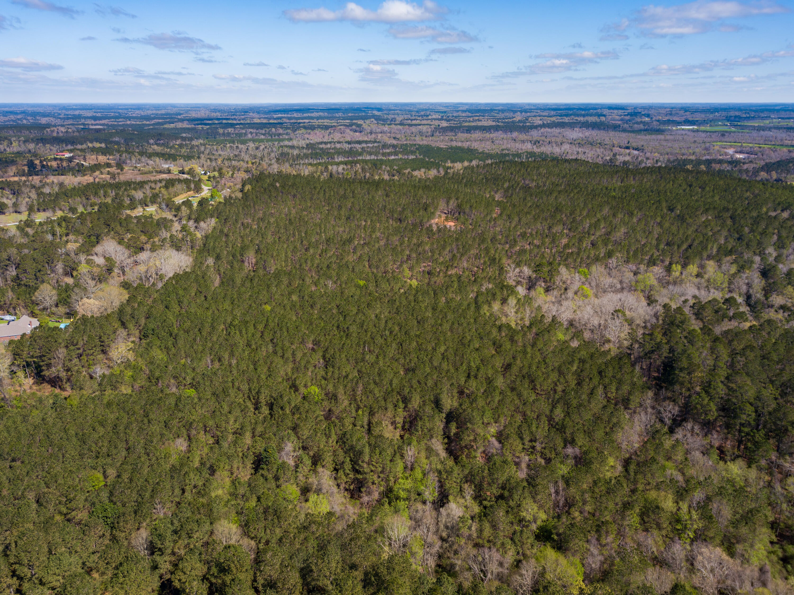Lot 10 Timothy Road Ellisville, MS 39437 - Photo 4 of 17 Gallery Image 4