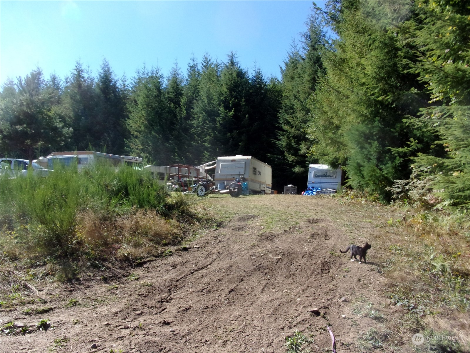 318 Mineral Road South Mineral, WA 98355 - Photo 2 of 2 a view of a outdoor space