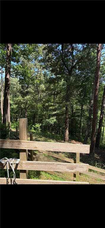 388 River Shoals Road Dawsonville, GA 30534 - Photo 12 of 15