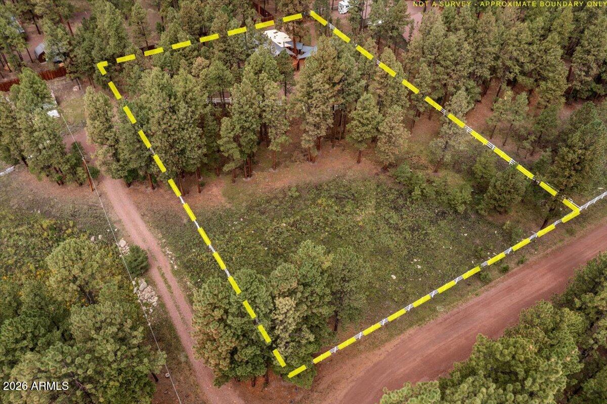 11 Whitetail Road Alpine, AZ 85920 - Photo 46 of 50 46-DJI_0576