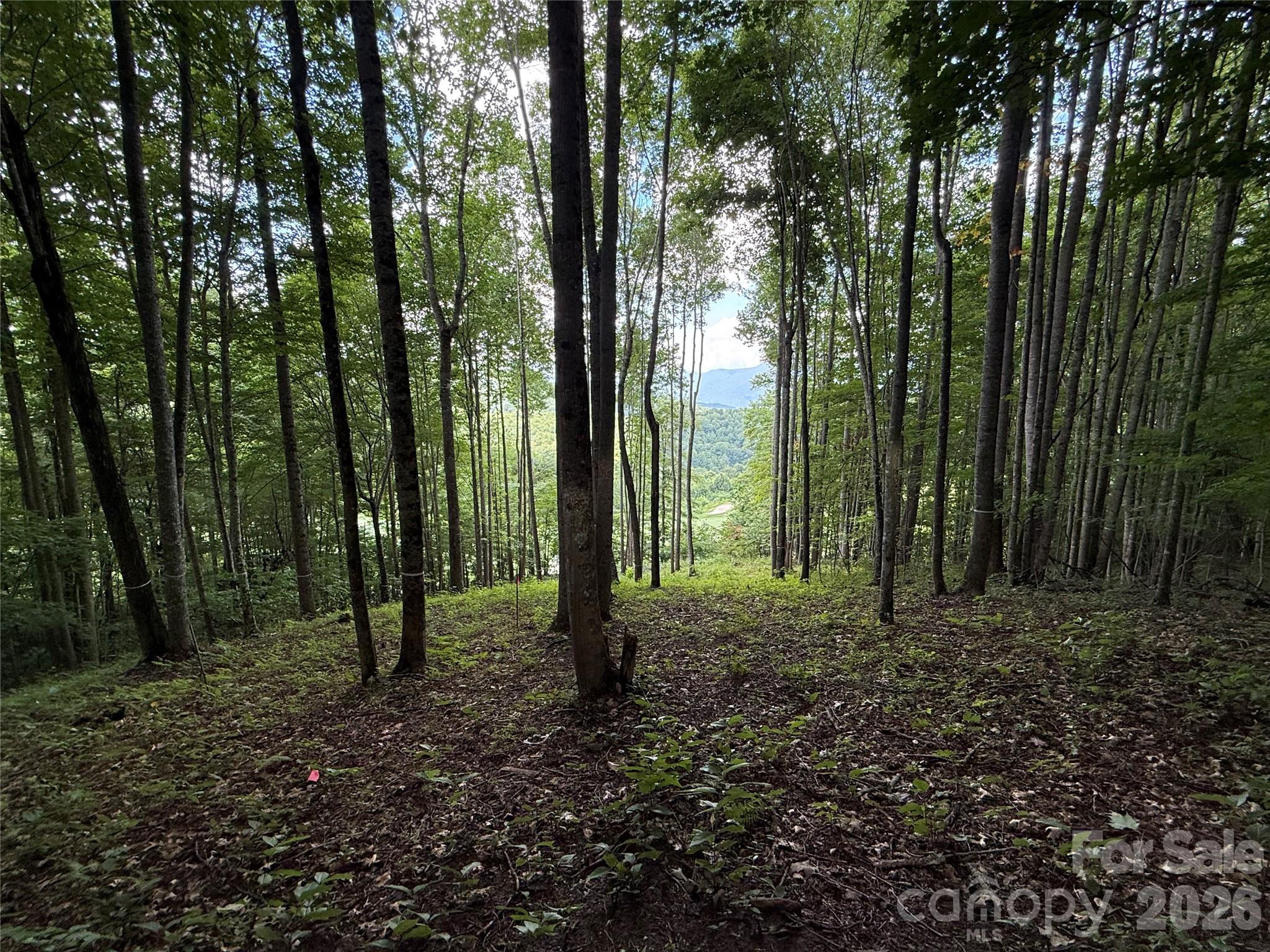 1781 High Line Road, Unit 63 Sylva, NC 28779 - Photo 2 of 9 Gallery Image 2
