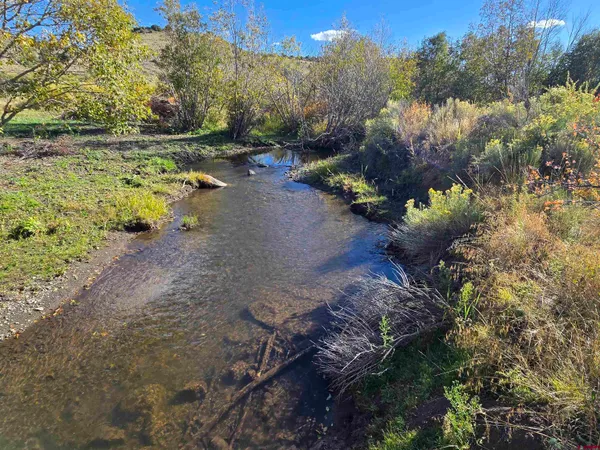 a view of a tree with a yard