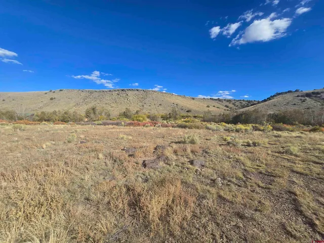a view of a sky from a yard