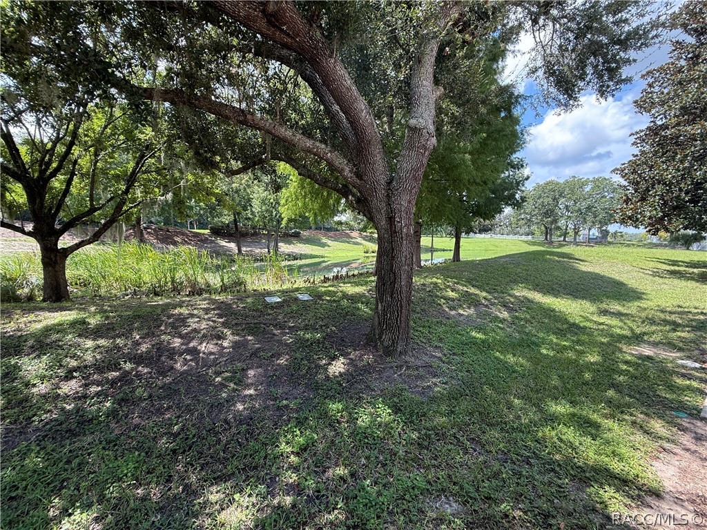 1658 West Spring Meadow Loop Lecanto, FL 34461 - Photo 26 of 31 Gallery Image 26