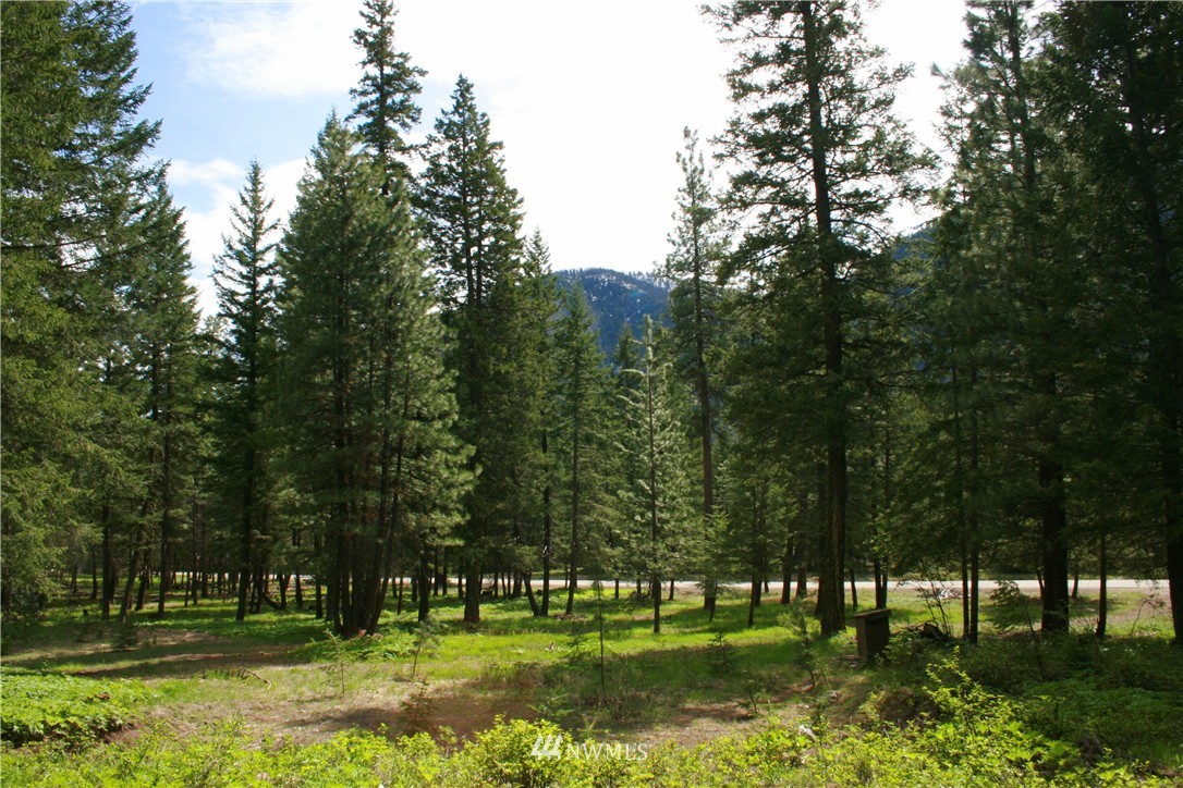602 Lost River Road Mazama, WA 98833 - Photo 1 of 17 Gallery Image 1
