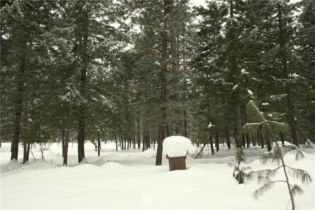 602 Lost River Road Mazama, WA 98833 - Photo 12 of 17 Gallery Image 12
