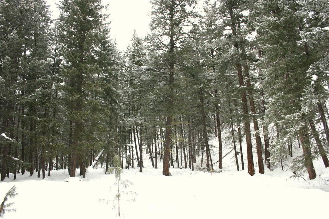 602 Lost River Road Mazama, WA 98833 - Photo 14 of 17 Gallery Image 14