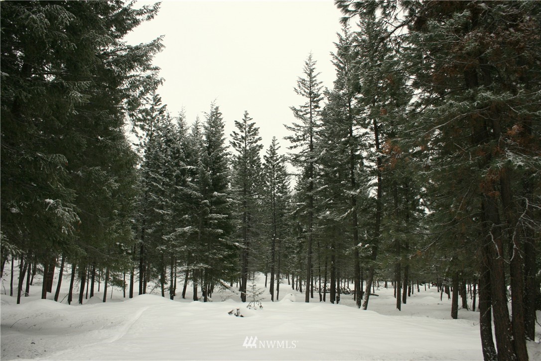 602 Lost River Road Mazama, WA 98833 - Photo 15 of 17 Gallery Image 15