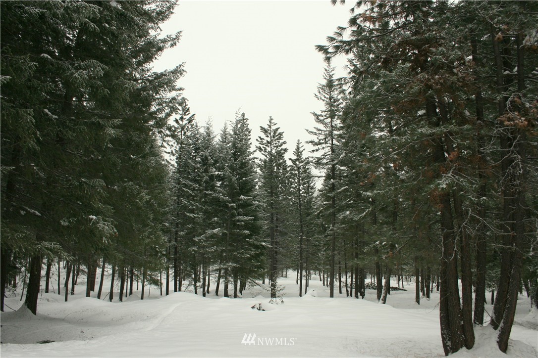 602 Lost River Road Mazama, WA 98833 - Photo 16 of 17 Gallery Image 16