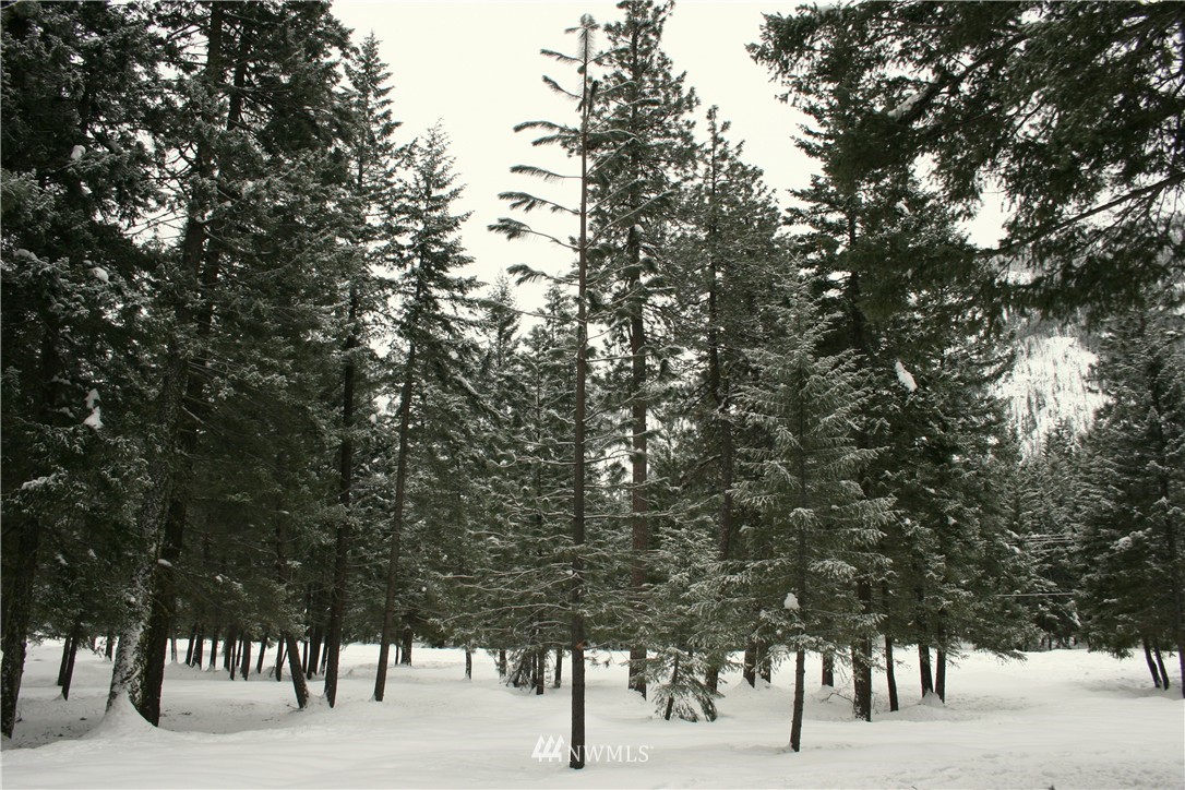 602 Lost River Road Mazama, WA 98833 - Photo 17 of 17 Gallery Image 17