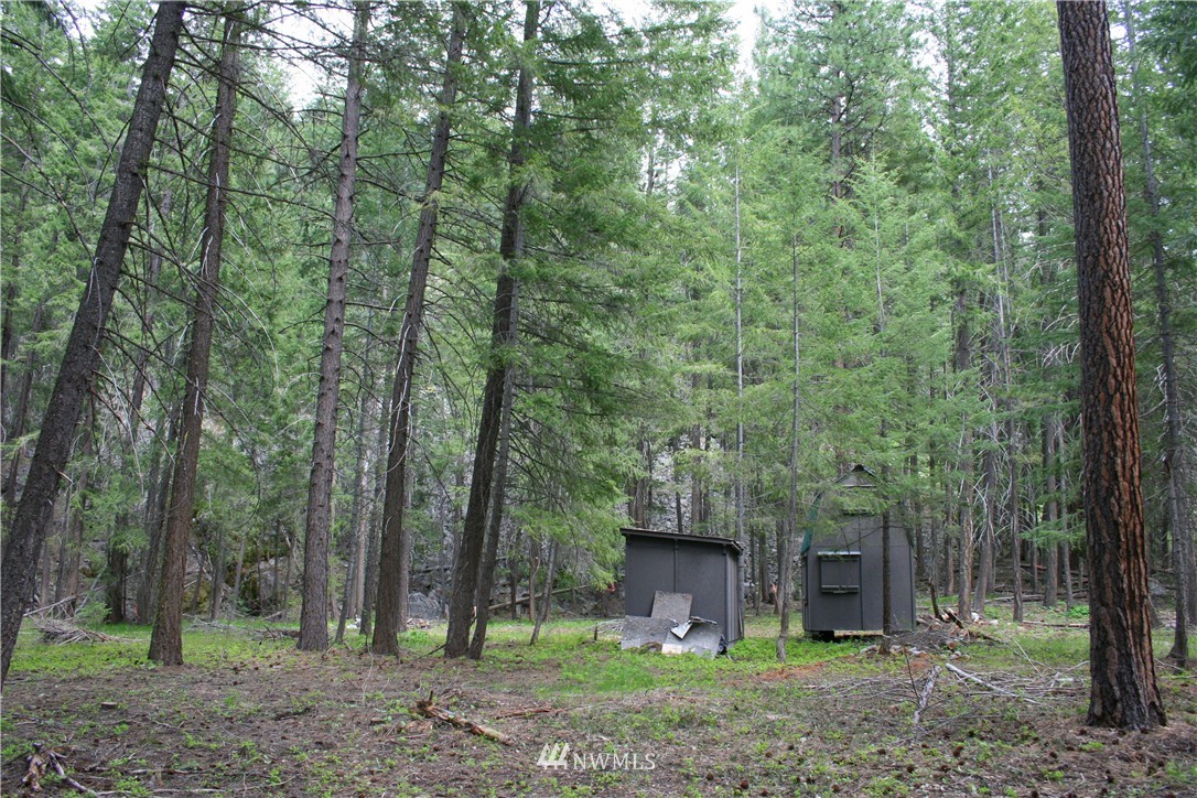 602 Lost River Road Mazama, WA 98833 - Photo 7 of 17 Gallery Image 7