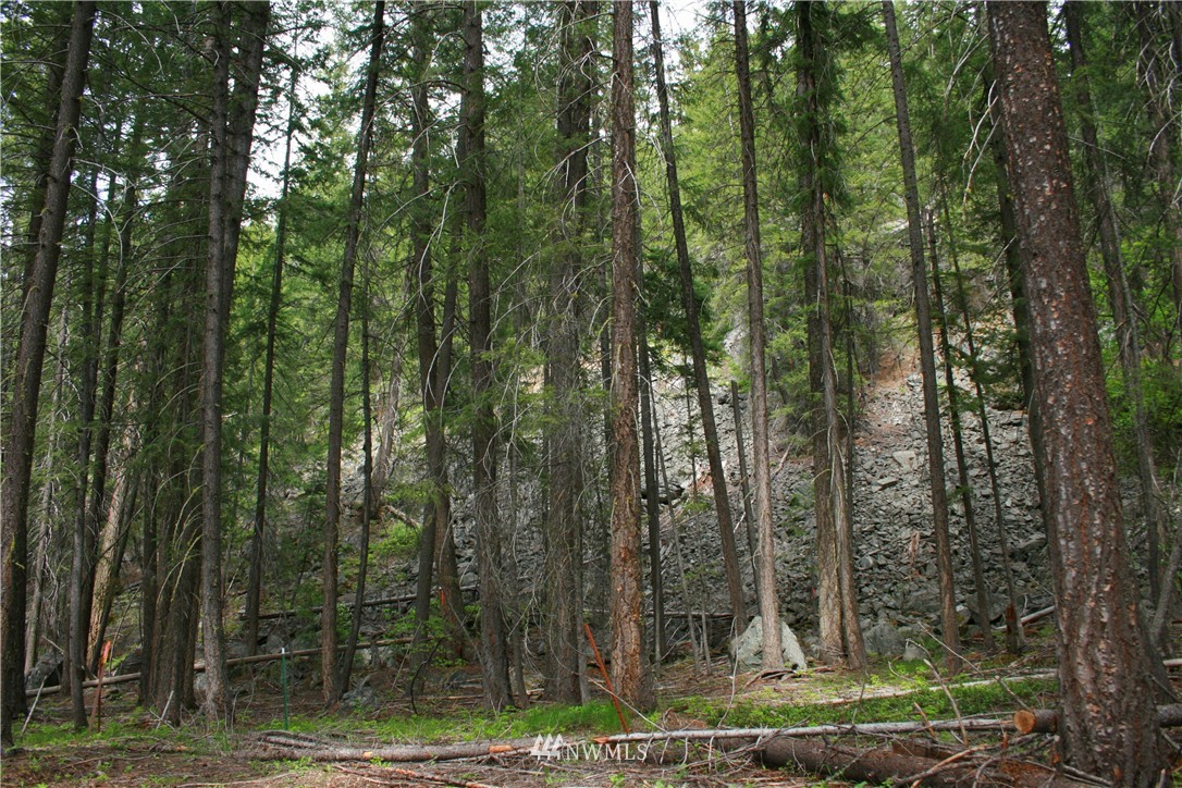 602 Lost River Road Mazama, WA 98833 - Photo 8 of 17 Gallery Image 8