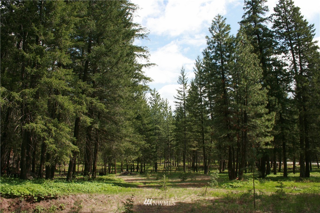 602 Lost River Road Mazama, WA 98833 - Photo 9 of 17 Gallery Image 9