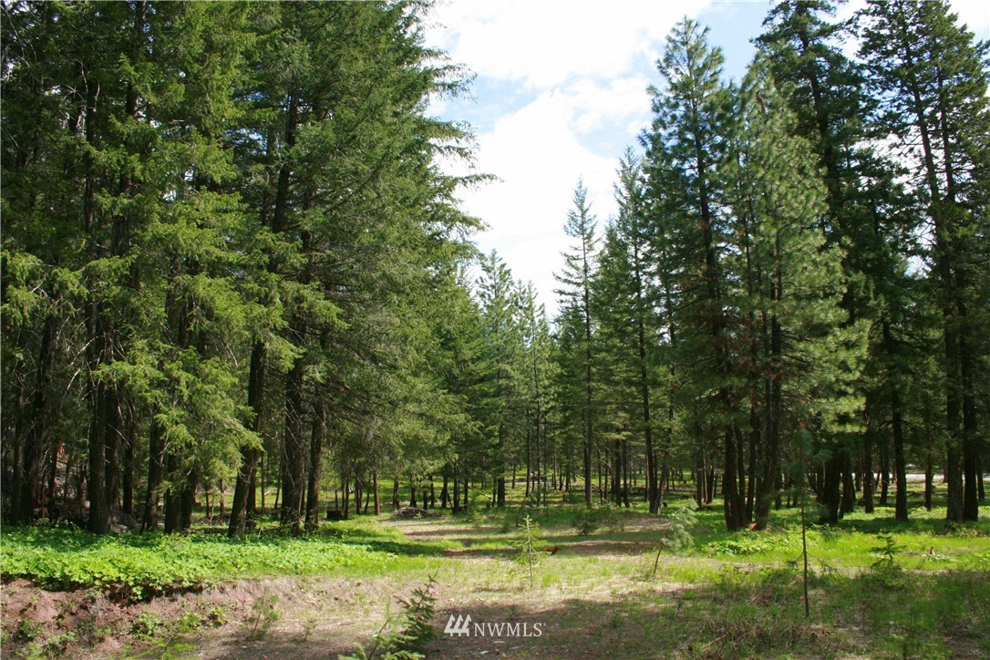 602 Lost River Road Mazama, WA 98833 - Photo 10 of 17 Gallery Image 10