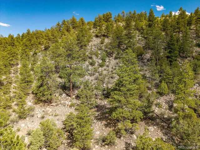 a view of a large yard with lots of bushes