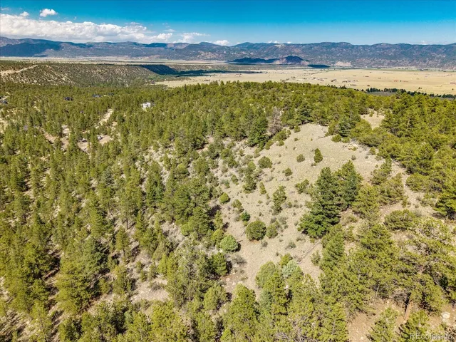 $1,000,000 | 0 Oppliger Drive, Nathrop, CO 81236