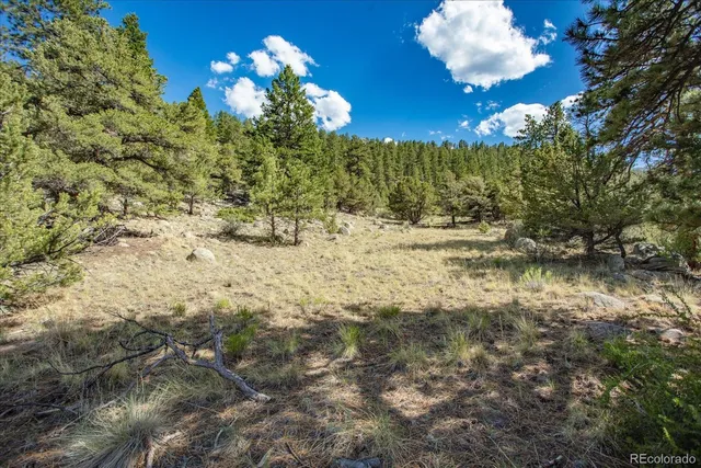 a view of a yard with a tree
