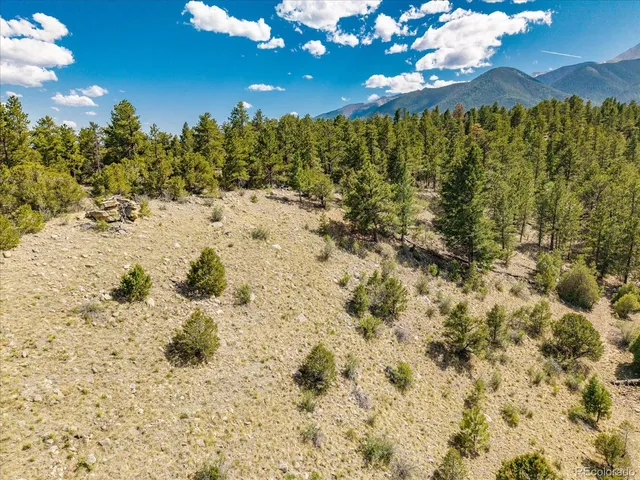 a view of a tree with a yard