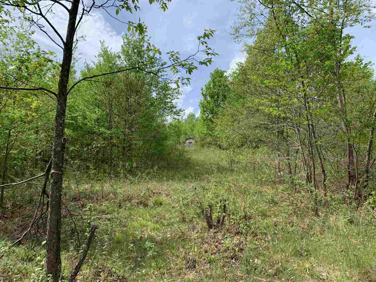 40 South 17 Road Boon, MI 49618 - Photo 16 of 33