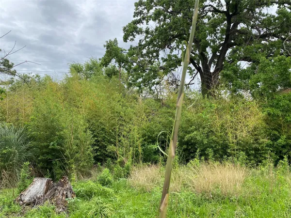 a view of a lake from a yard