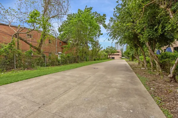 a view of a road with plants and trees