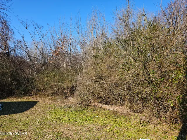 a view of backyard with green space
