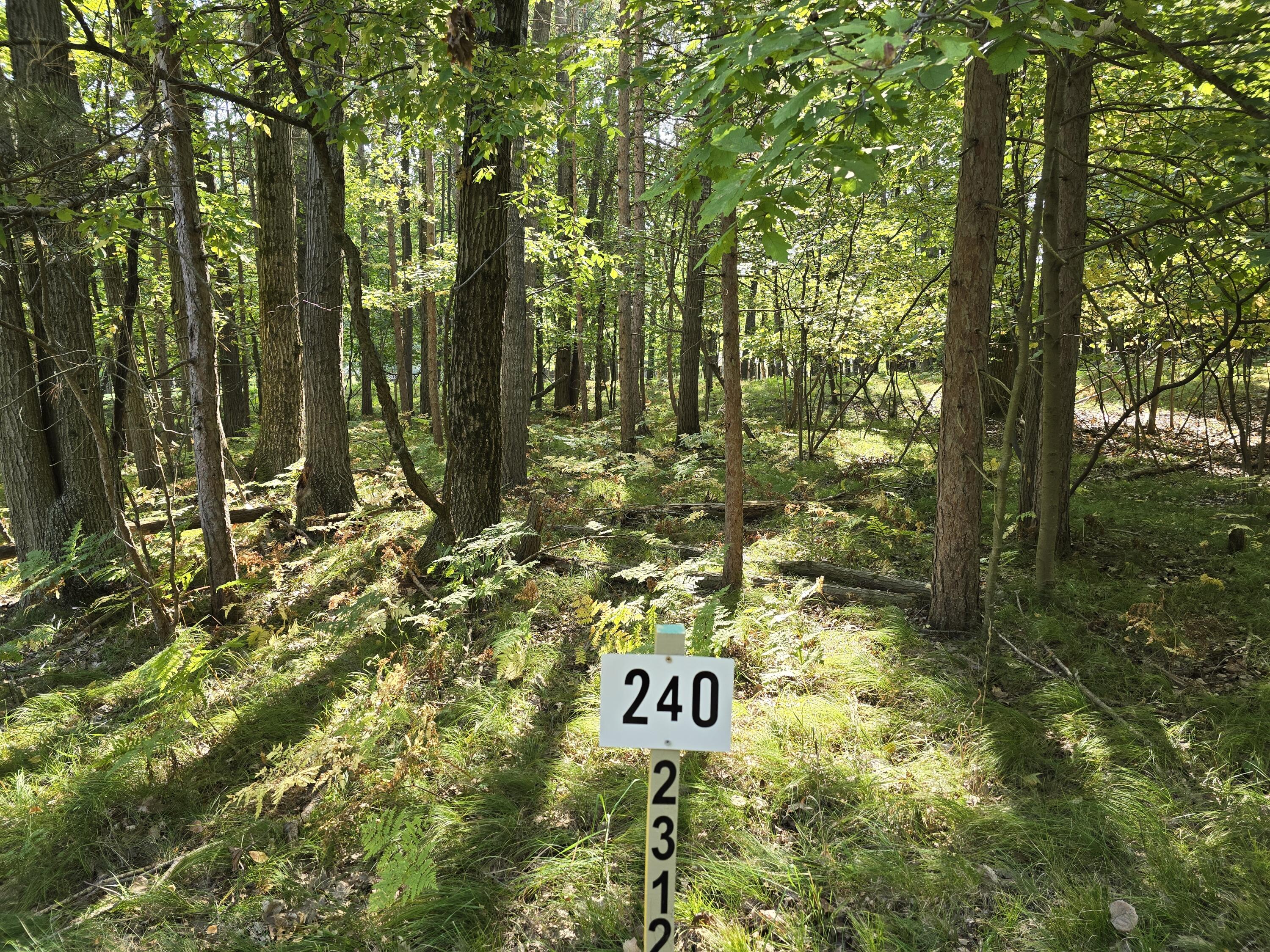 6728 Beechnut Ridge Canadian Lakes, MI 49346 - Photo 2 of 10 20250918_113403