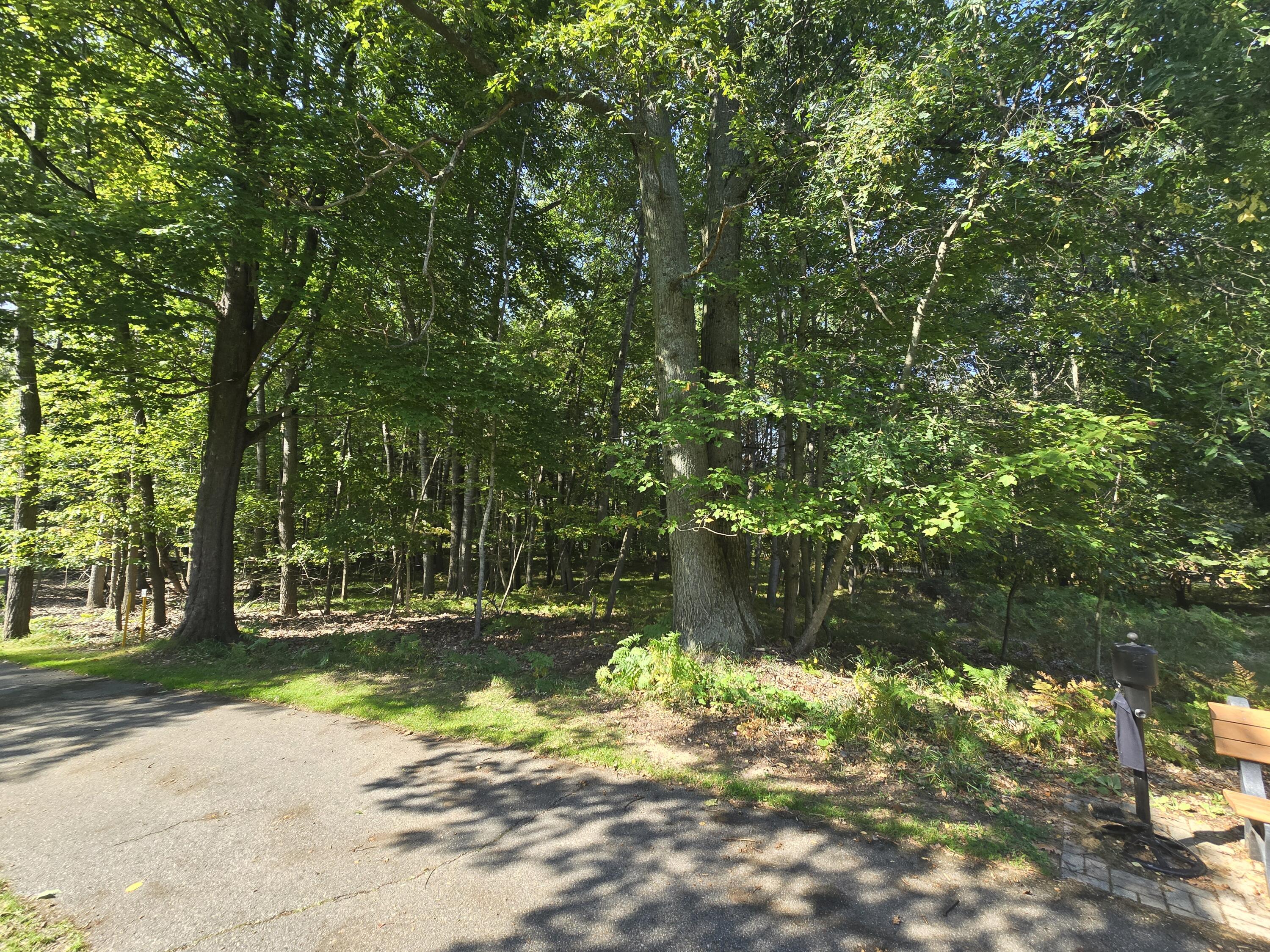 6728 Beechnut Ridge Canadian Lakes, MI 49346 - Photo 3 of 10 20250918_113910