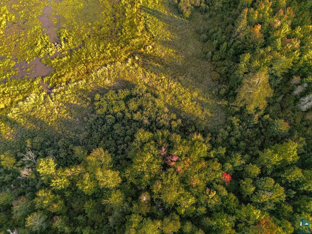 Xxx Crane Lake Road Orr, MN 55771 - Photo 5 of 14 Gallery Image 5