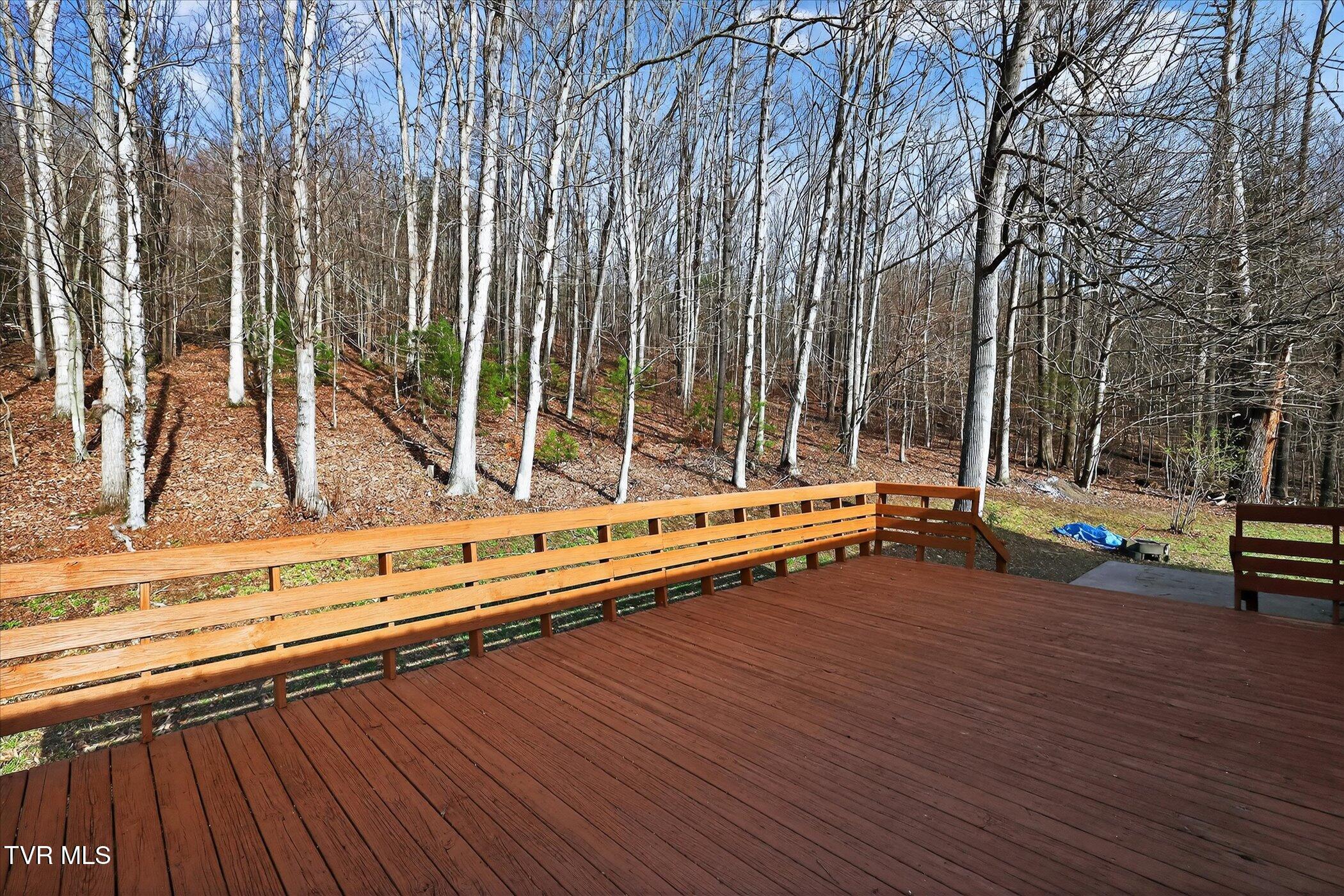 122 Haines Road Erwin, TN 37650 - Photo 4 of 29 32-122-Haines-Rd-Erwin-TN-37650-WindowSt
