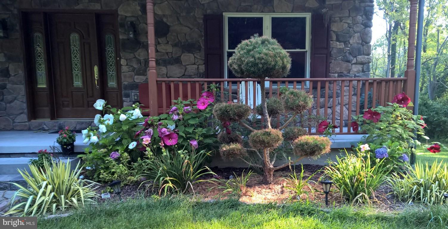 425 Swamp Road Morgantown, PA 19543 - Photo 7 of 55 Front garden