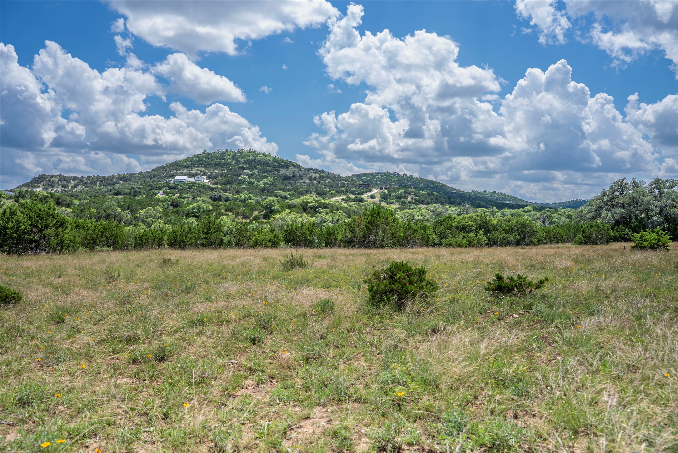 717 Bluff Ridge Trail Blanco, TX 78606 - Photo 12 of 21 Hilltop vistas extend over the surrounding verdant landscape, presenting a truly panoramic setting.