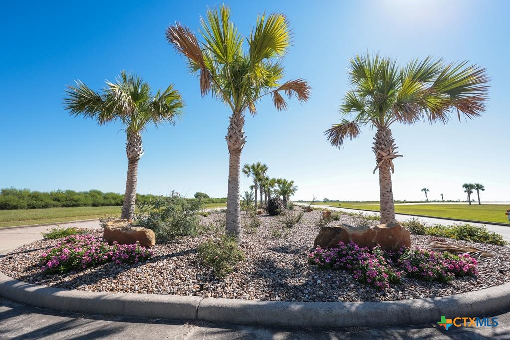 3045 Sandy Lane Palacios, TX 77465 - Photo 9 of 17 a view of a garden with a tree
