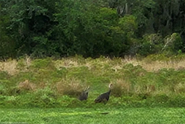 $199,000 | 1013 Cattle Ranch Road, Venus, FL 33960