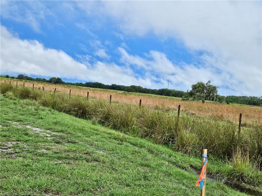 1013 Cattle Ranch Road Venus, FL 33960 - Photo 3 of 6