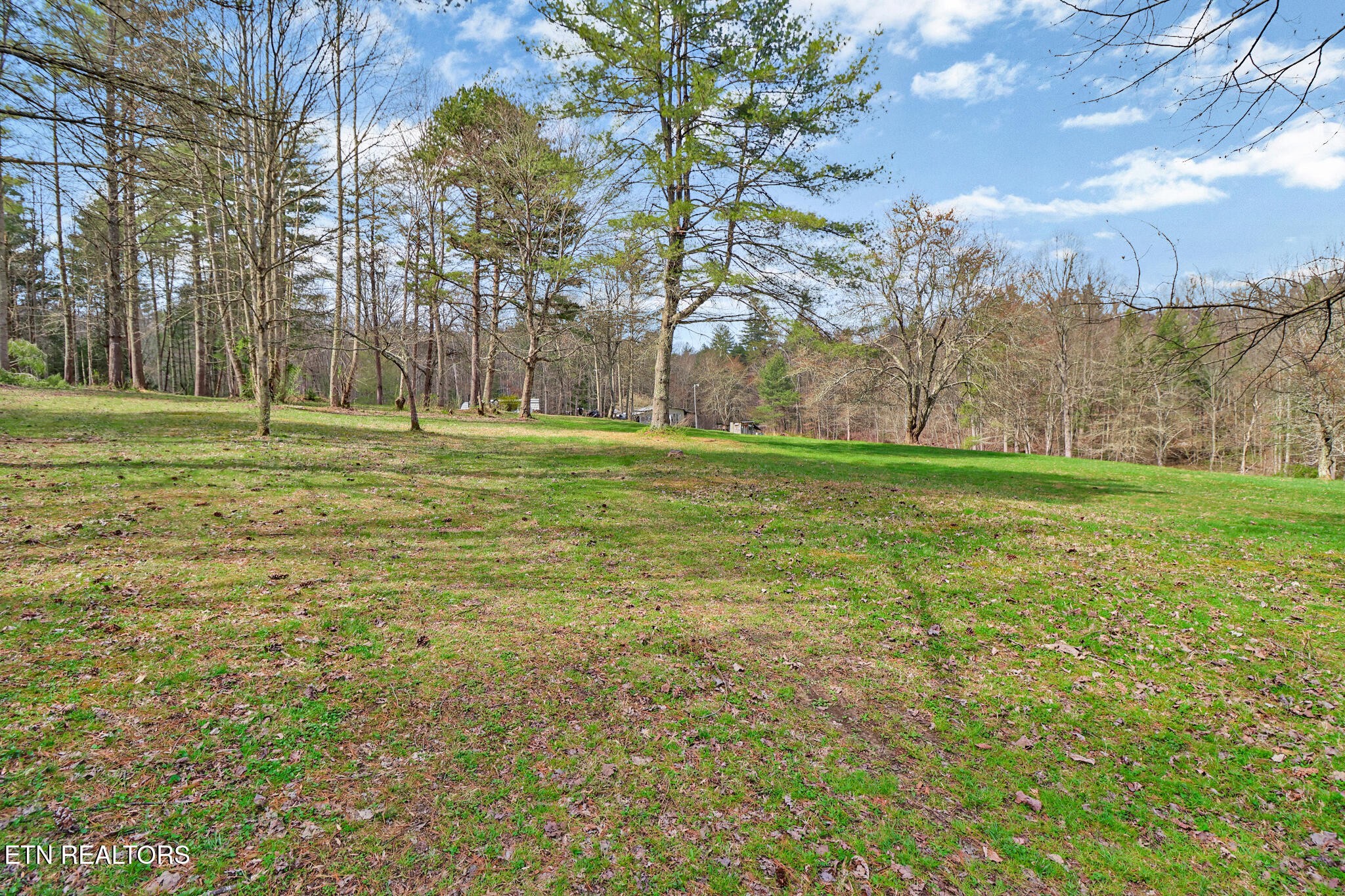 239 Doc Huling Road Robbins, TN 37852 - Photo 19 of 55 a big yard with lots of green space