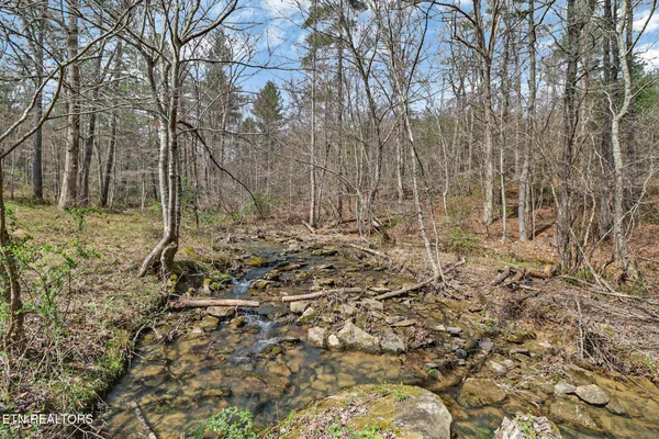 $379,900 | 239 Doc Huling Road, Robbins, TN 37852
