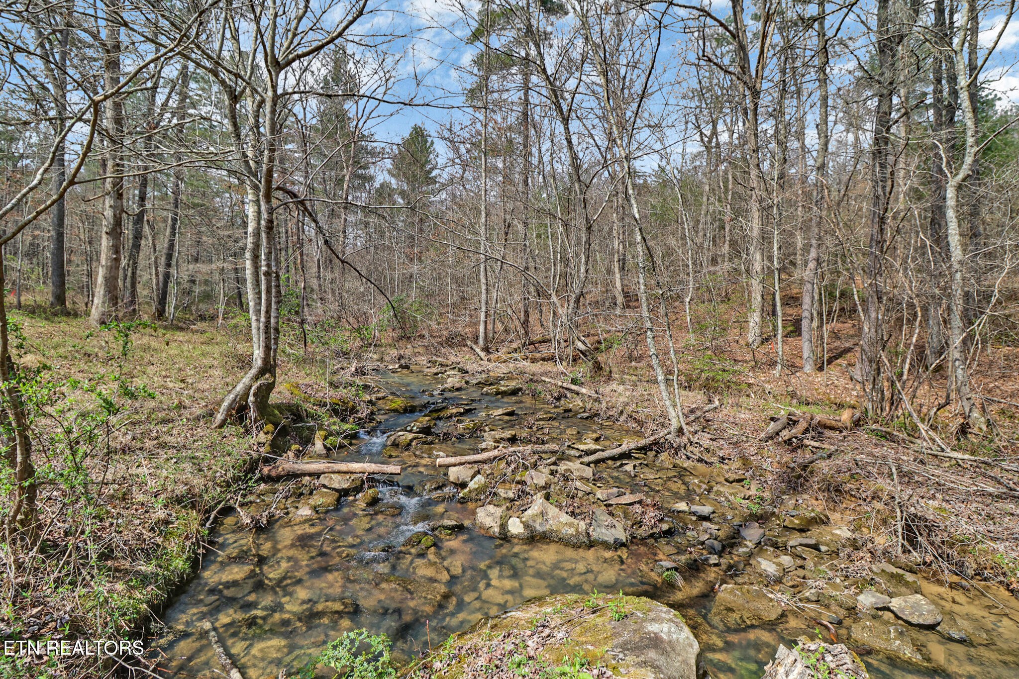 239 Doc Huling Road Robbins, TN 37852 - Photo 23 of 55 a backyard of a house with lots of trees