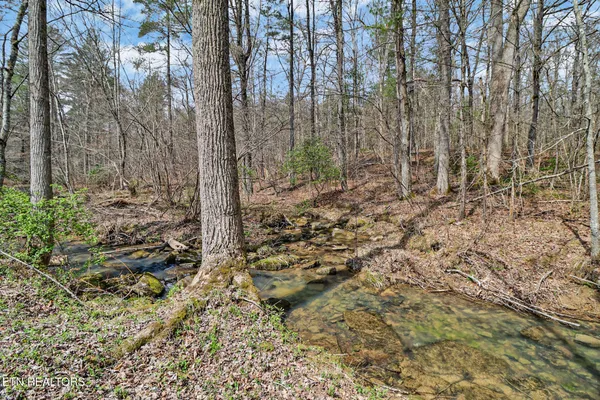 $379,900 | 239 Doc Huling Road, Robbins, TN 37852