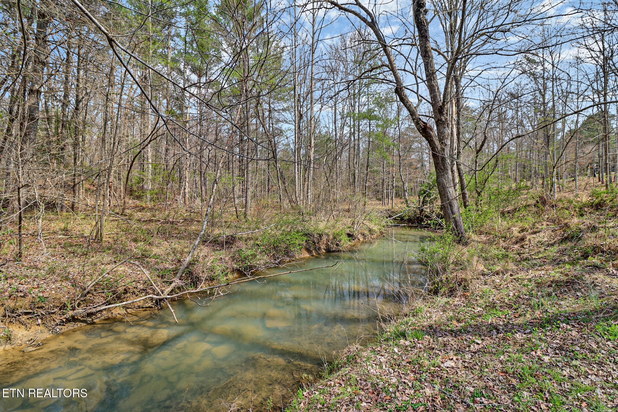239 Doc Huling Road Robbins, TN 37852 - Photo 25 of 55 a backyard of a house with lots of green space