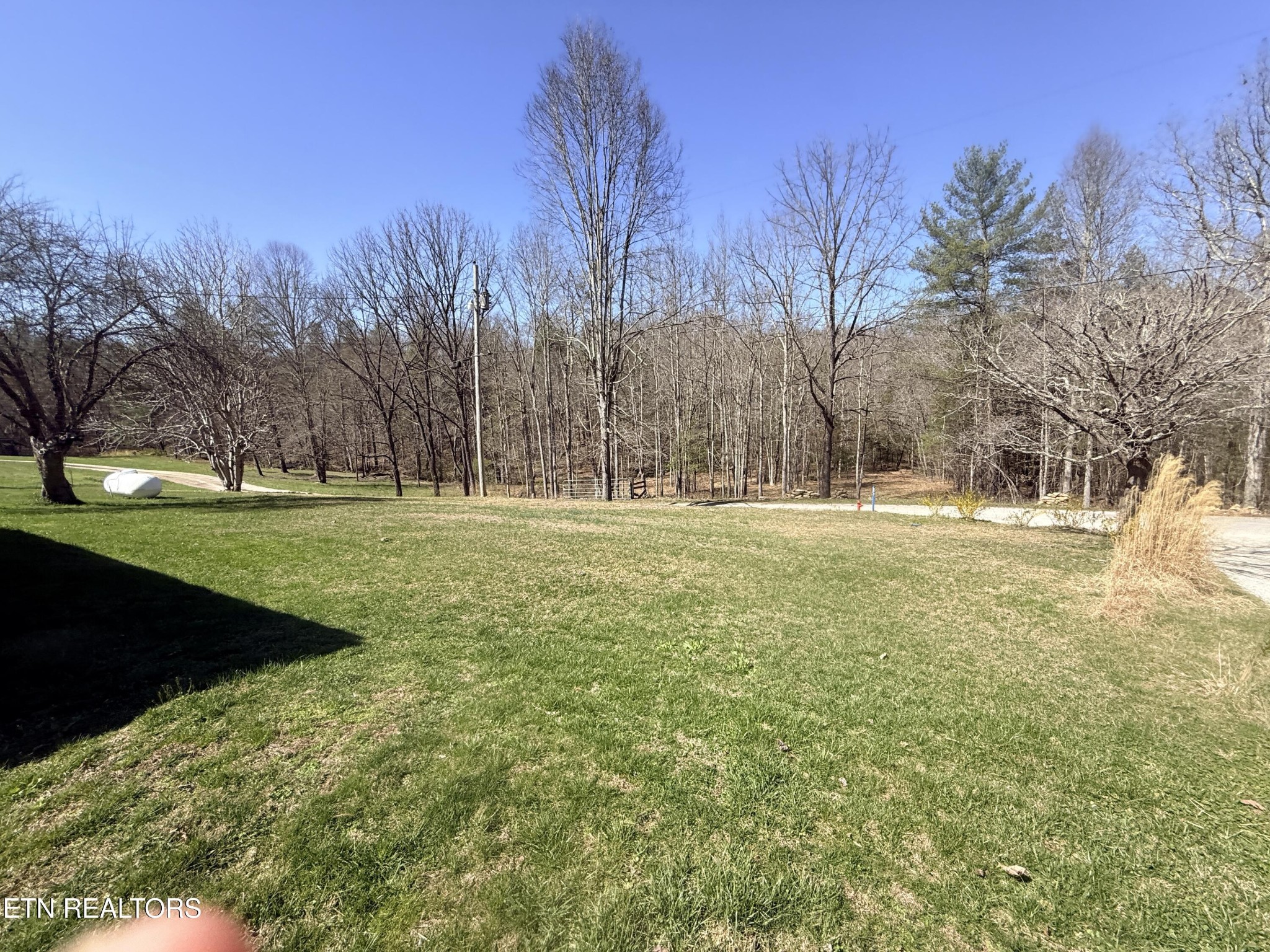 239 Doc Huling Road Robbins, TN 37852 - Photo 50 of 55 a garden view with trees