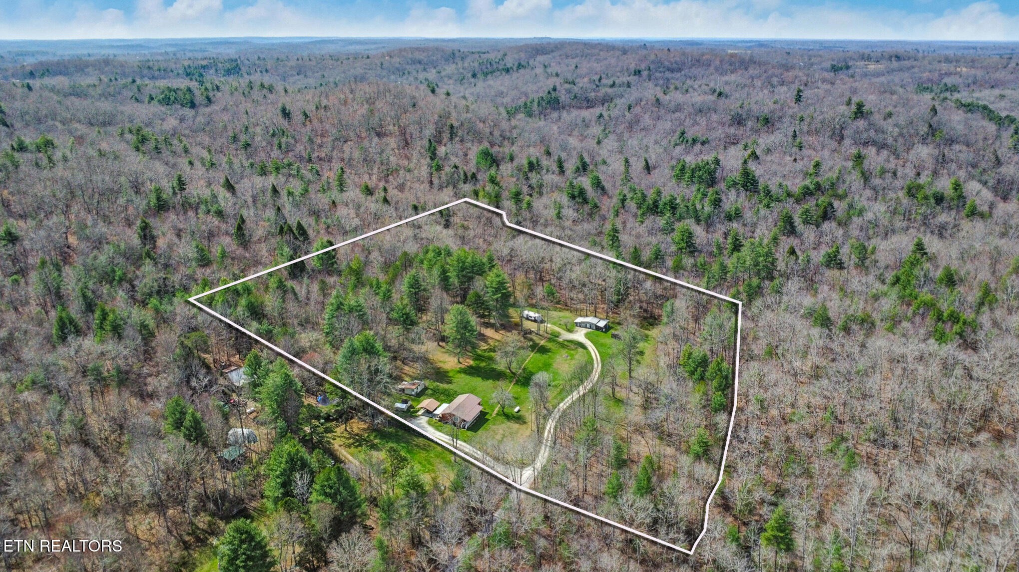 239 Doc Huling Road Robbins, TN 37852 - Photo 5 of 55 a view of a forest