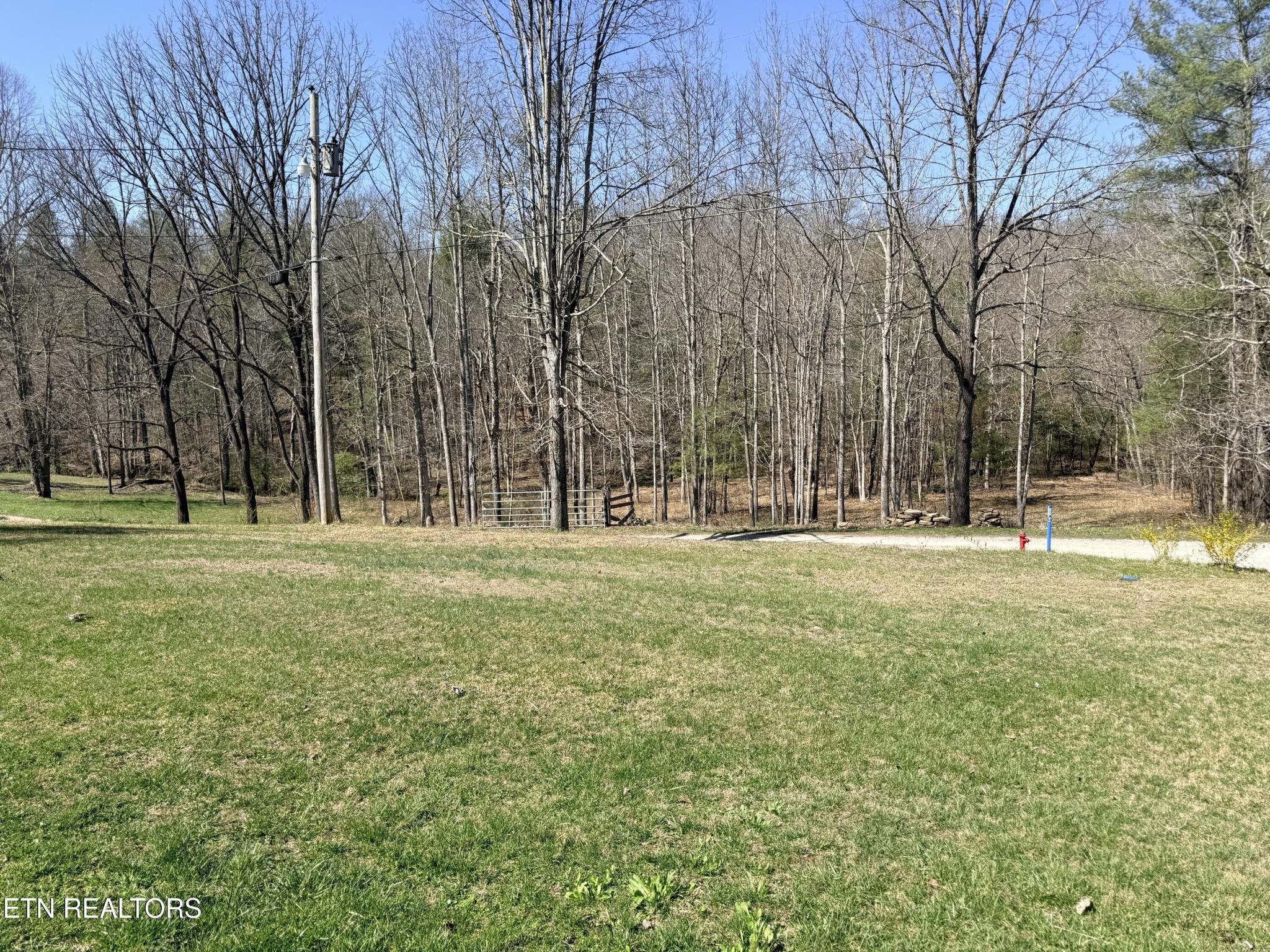 239 Doc Huling Road Robbins, TN 37852 - Photo 51 of 55 a view of park space