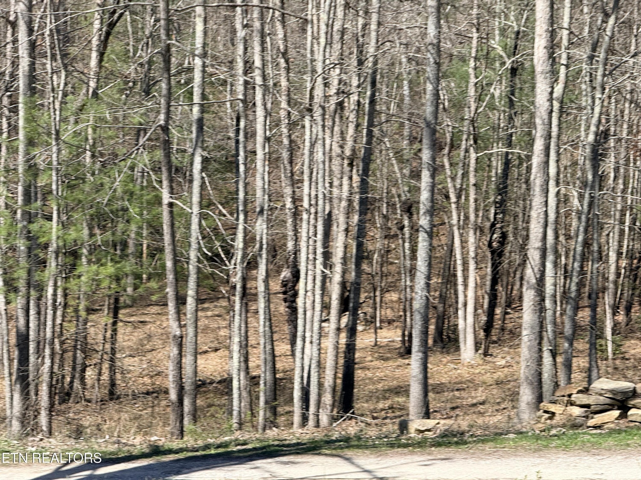 239 Doc Huling Road Robbins, TN 37852 - Photo 52 of 55