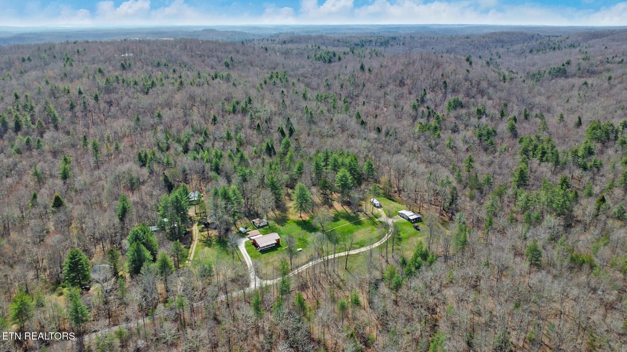 239 Doc Huling Road Robbins, TN 37852 - Photo 53 of 55 a view of a dry yard with trees