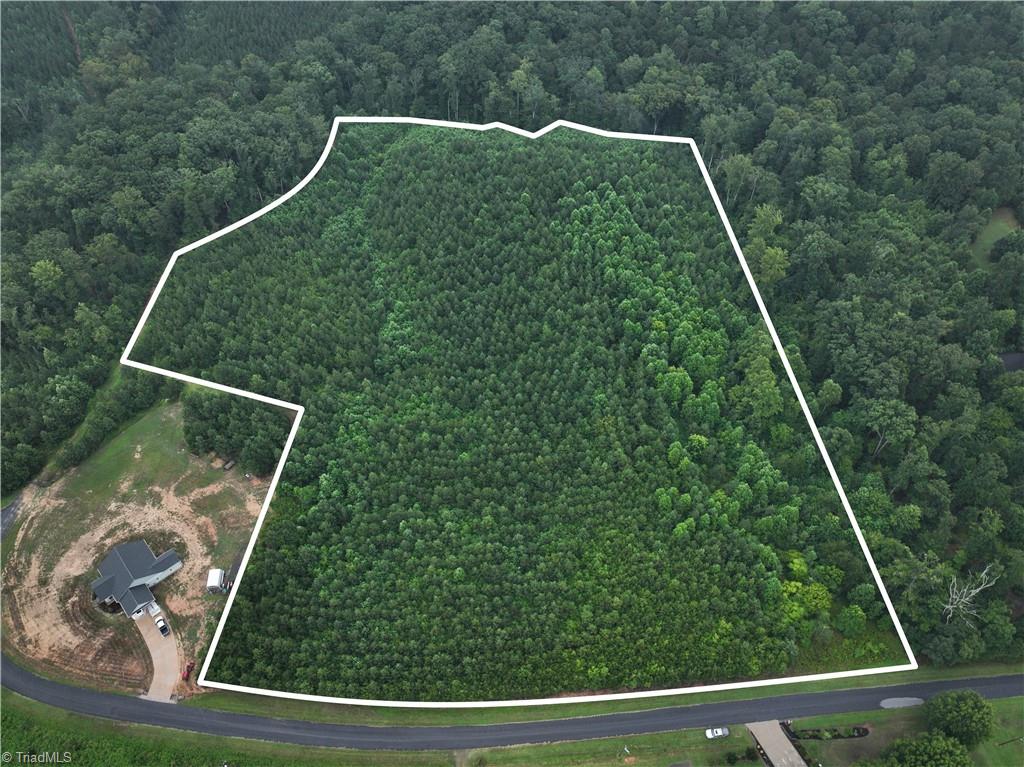 491 Spring Road Reidsville, NC 27320 - Photo 3 of 13 Gallery Image 3